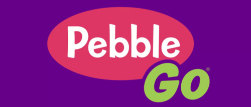 Pebble Go