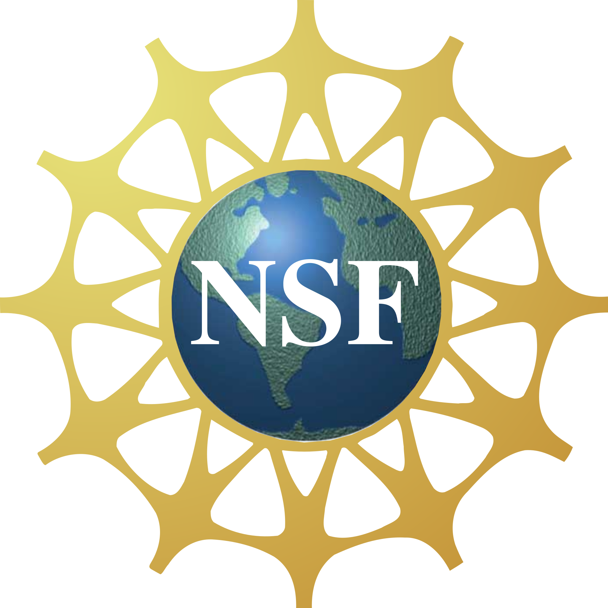 National Science Foundation Focus Areas